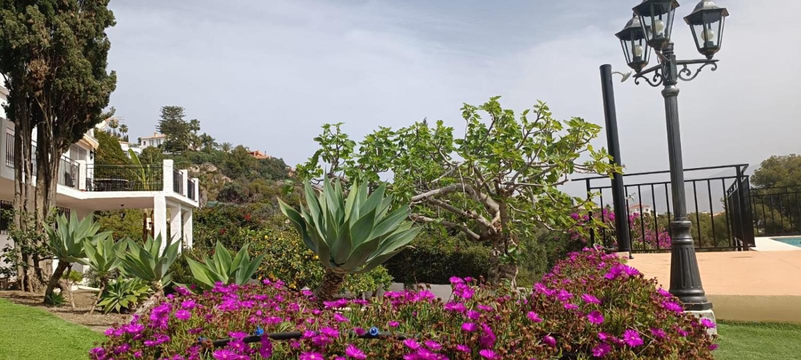 La Torrecica, Con Caracter Andaluz Y Magnificas Vistas Al Mar Y Sierra Nevada Villa Salobrena Ngoại thất bức ảnh
