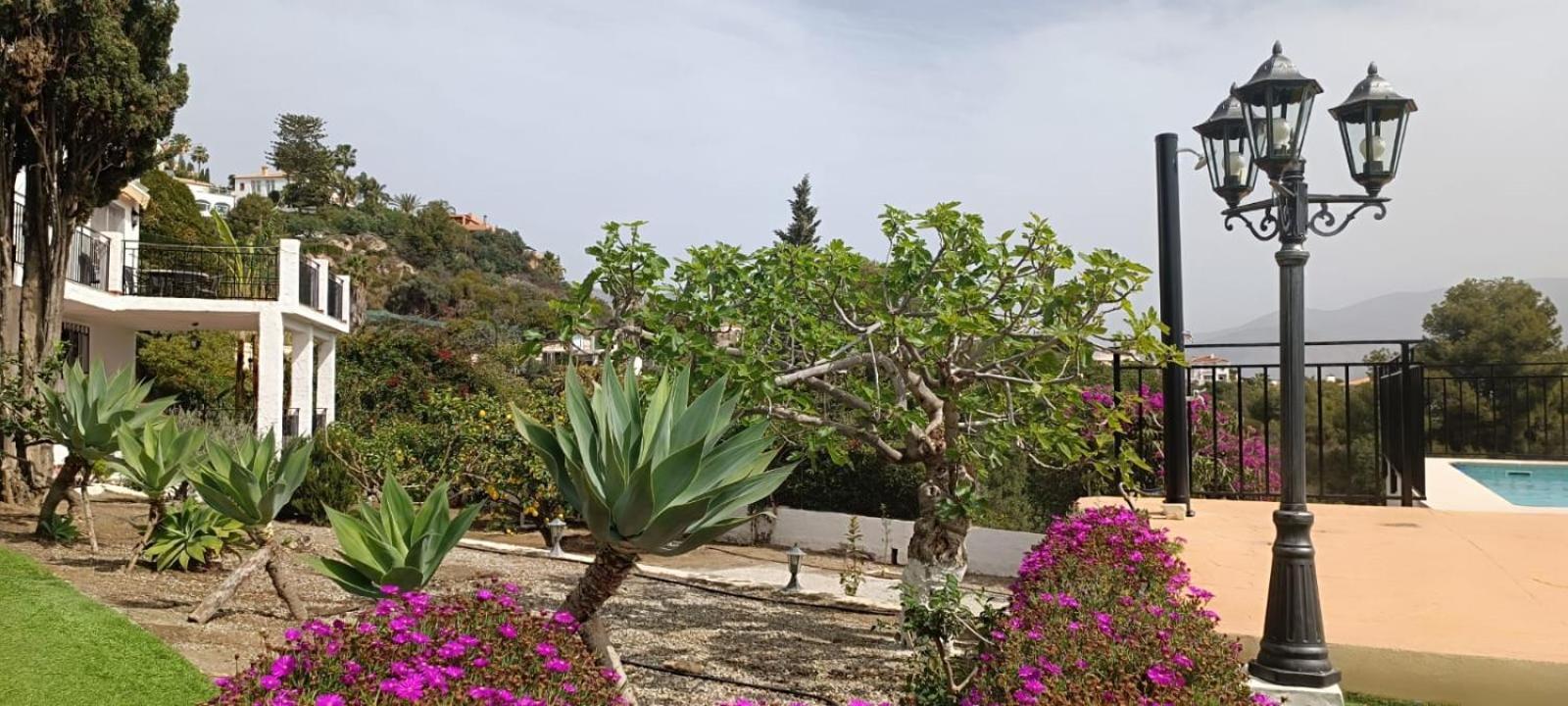 La Torrecica, Con Caracter Andaluz Y Magnificas Vistas Al Mar Y Sierra Nevada Villa Salobrena Ngoại thất bức ảnh
